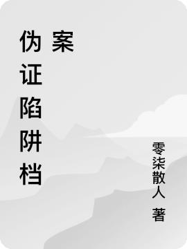 伪证陷阱档案
