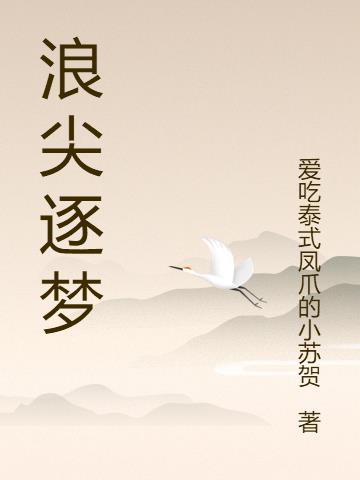 浪尖逐梦